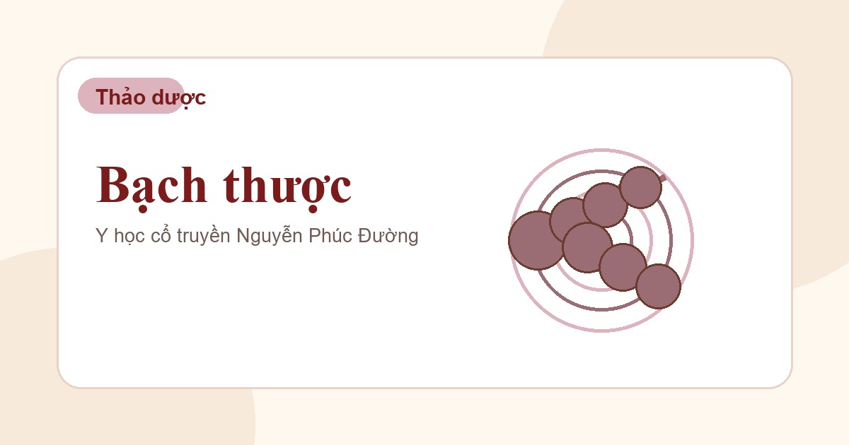 Bạch thược trong nhóm vị thuốc Đông y thường gặp