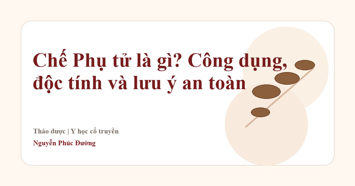 Chế Phụ tử trong nhóm vị thuốc Đông y thường gặp