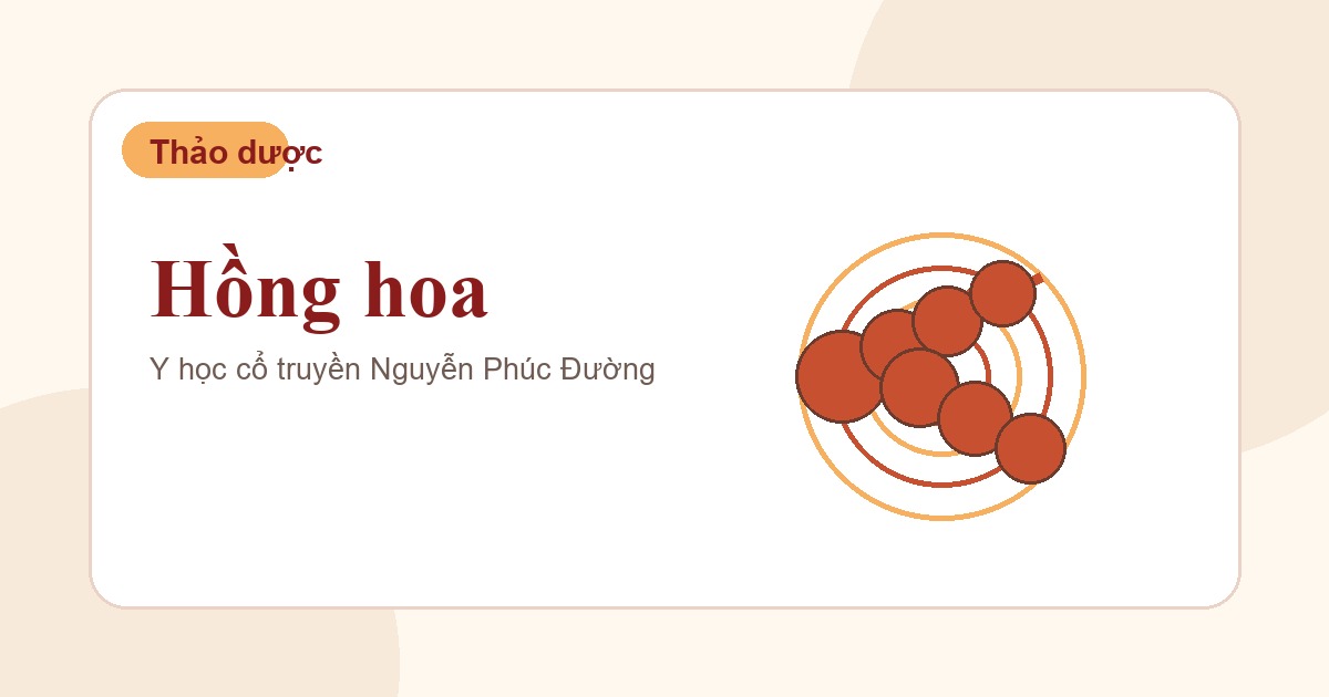Hồng hoa trong nhóm vị thuốc Đông y thường gặp