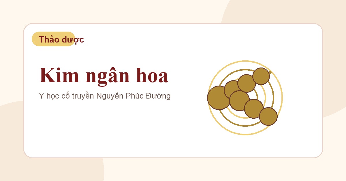 Kim ngân hoa trong nhóm vị thuốc Đông y thường gặp
