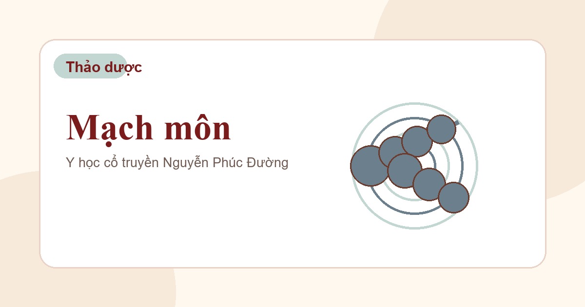 Mạch môn trong nhóm vị thuốc Đông y thường gặp