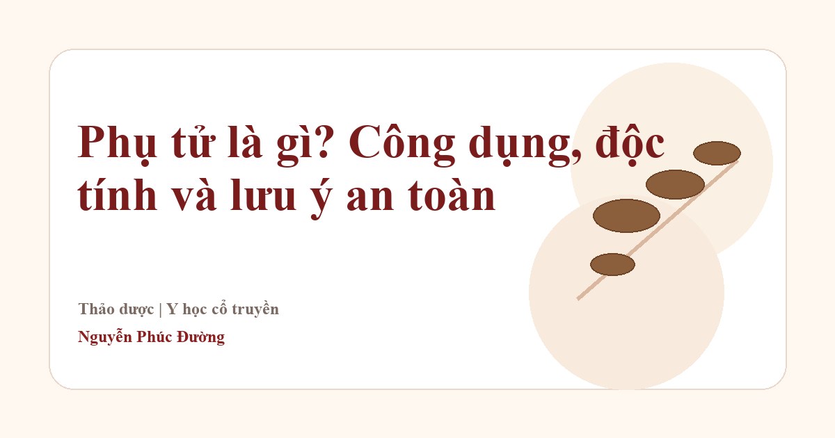 Phụ tử trong nhóm vị thuốc Đông y thường gặp