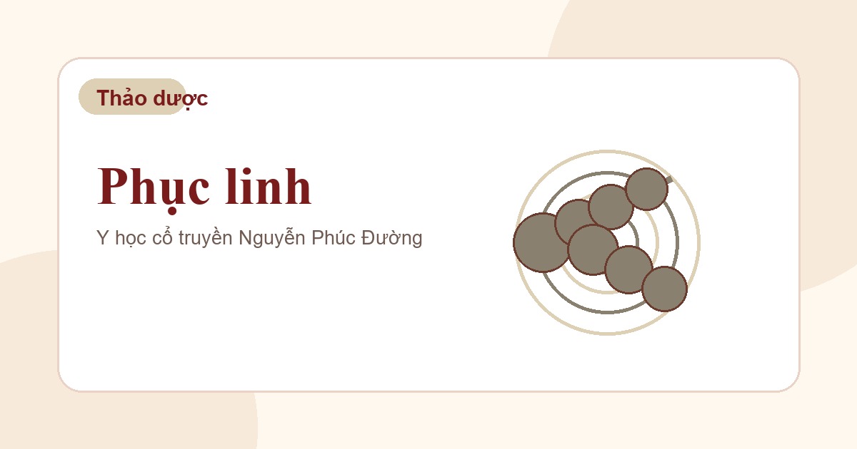Phục linh trong nhóm vị thuốc Đông y thường gặp