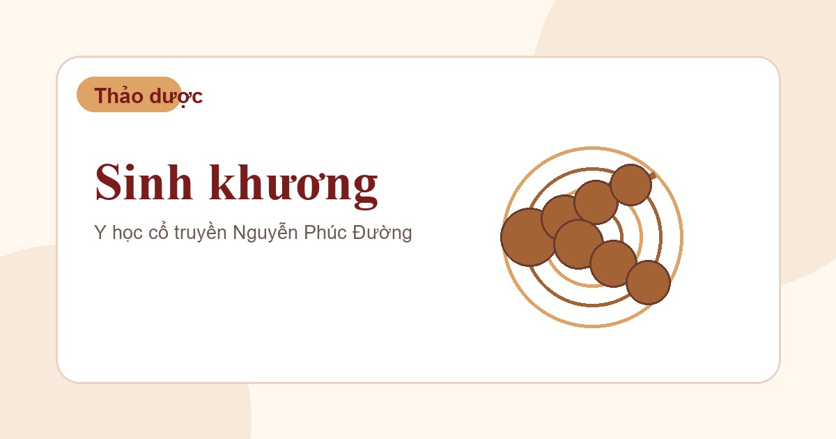 Sinh khương trong nhóm vị thuốc Đông y thường gặp