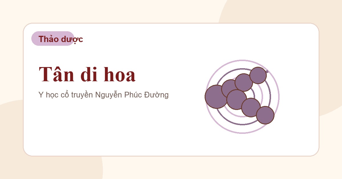 Tân di hoa trong nhóm vị thuốc Đông y thường gặp