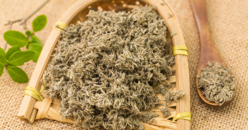 Nhân trần (茵陳蒿)